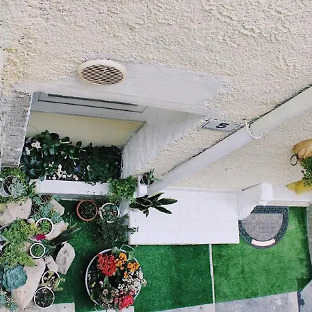 The Dream House 2.0 * Dogliola