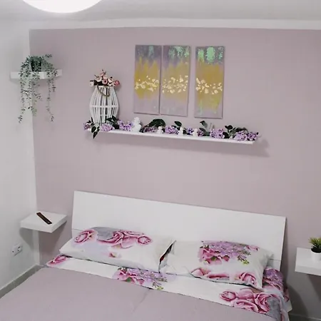 The Dream House 2.0 Holiday home *